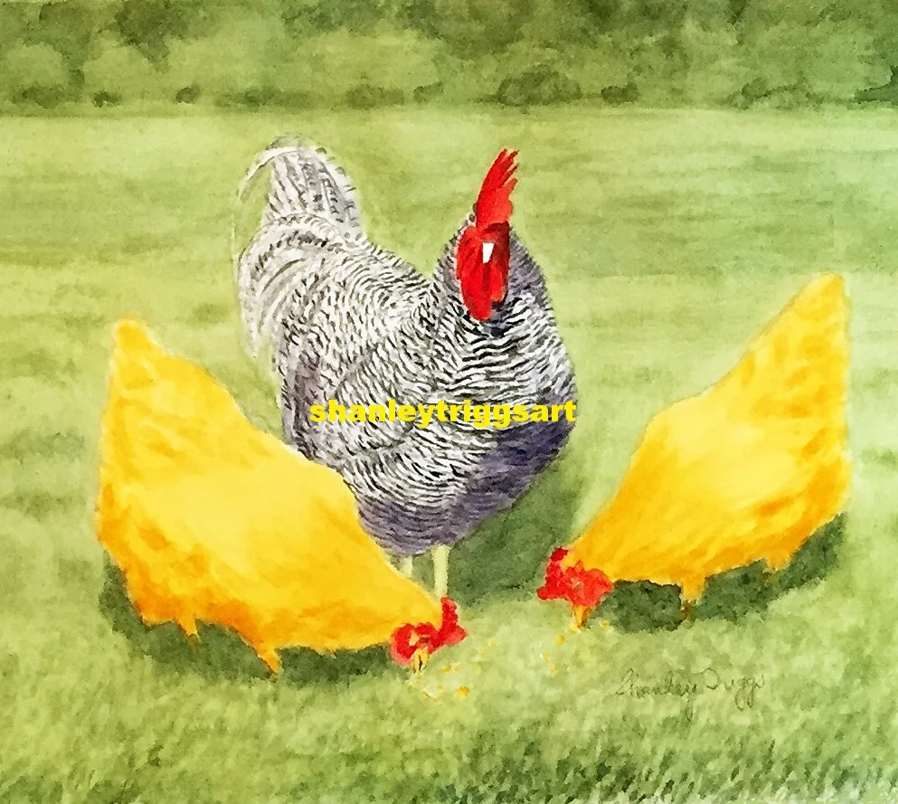 rooster copy 4x4_edited-3.jpg