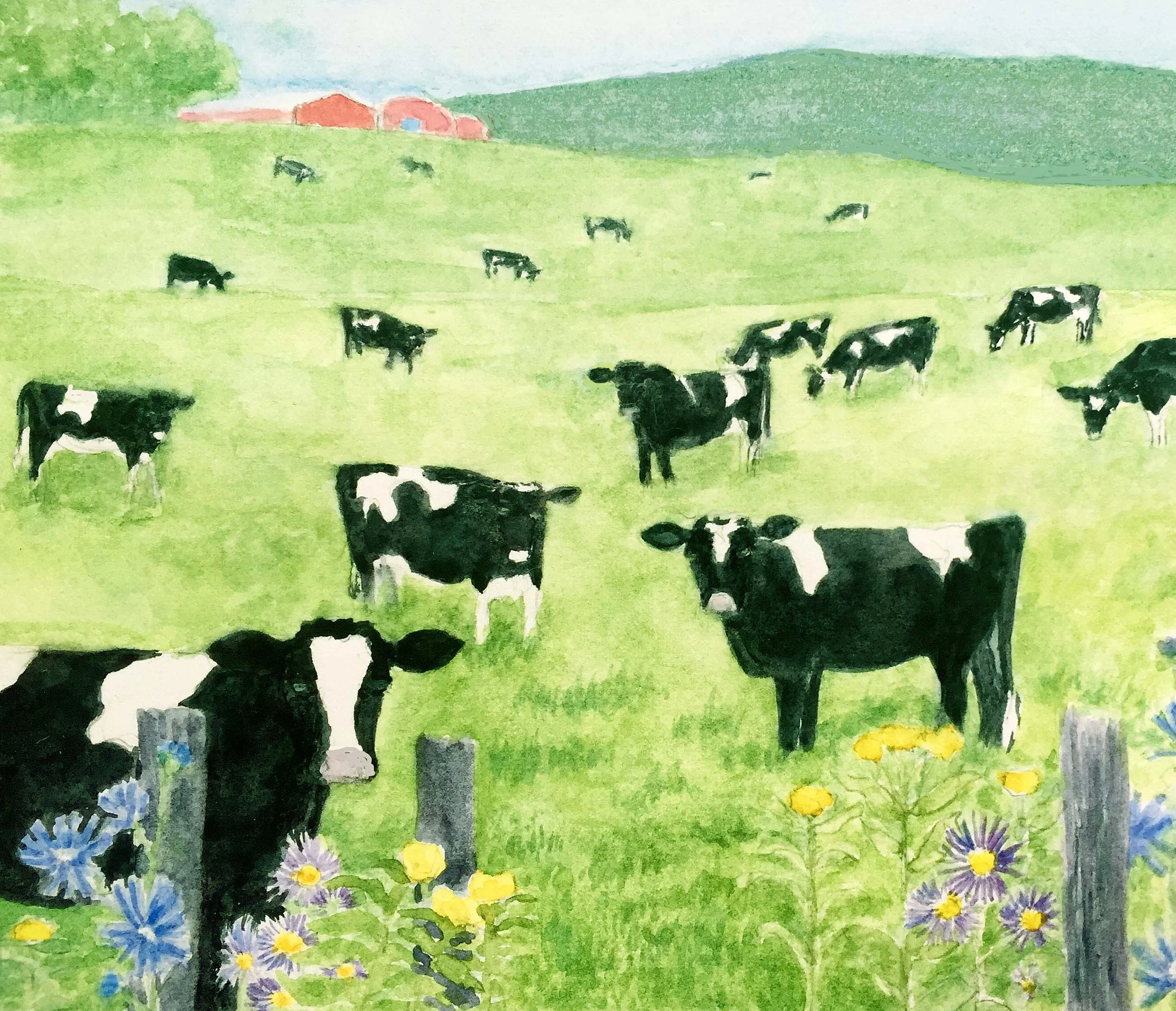 Richards farm BEST.jpg