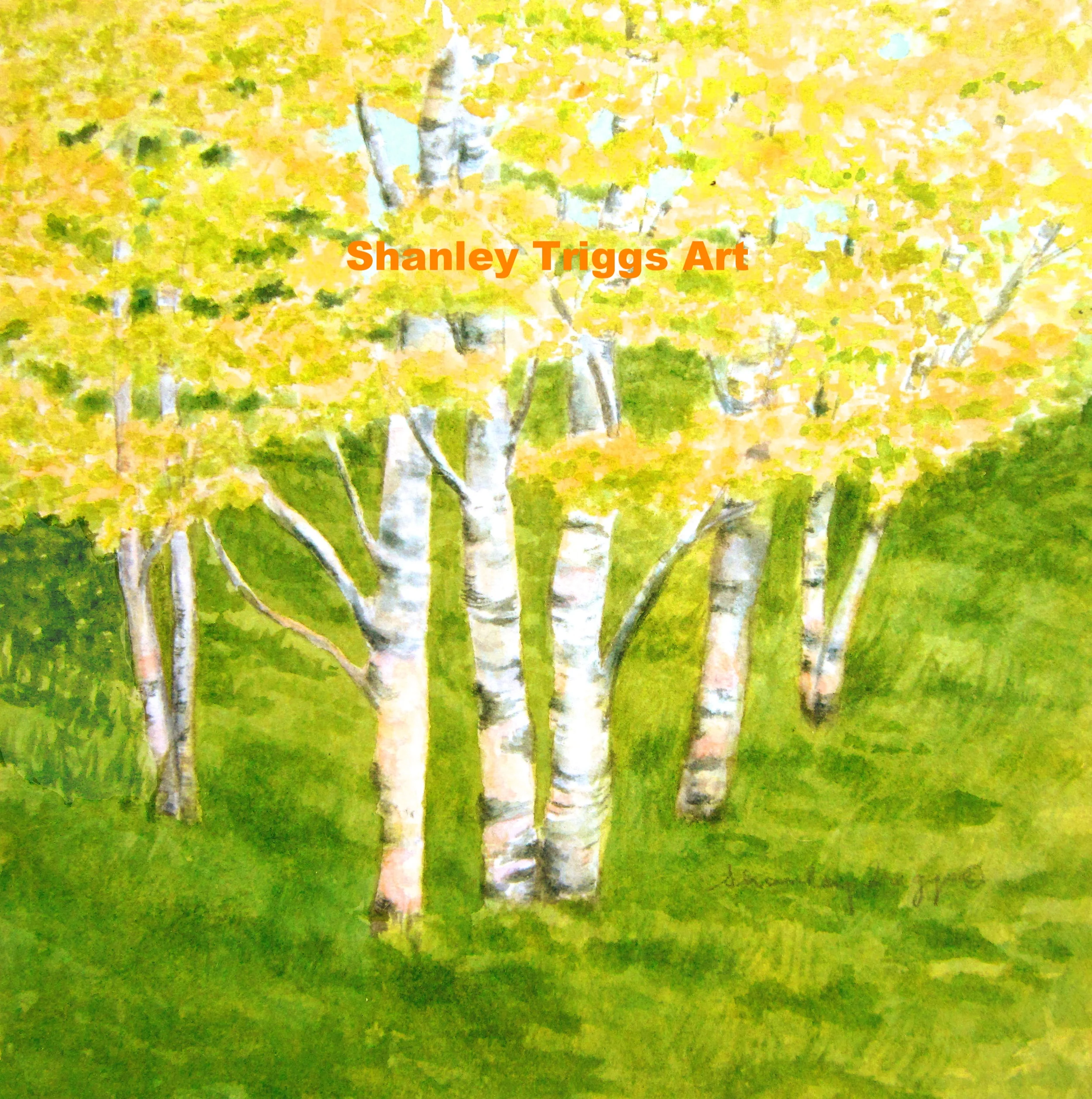 Birches- Summer BEST USE_edited-2.jpg