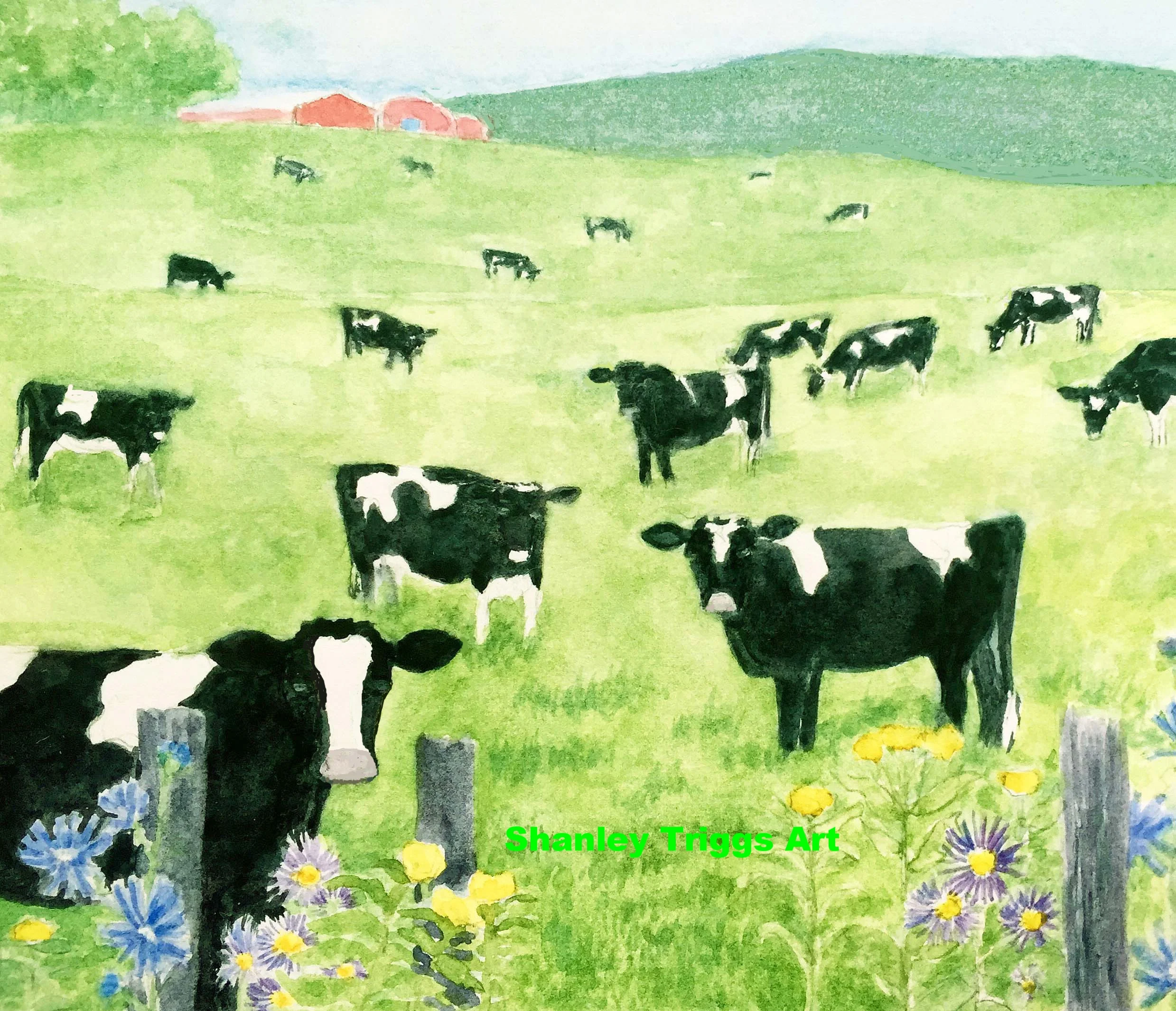V-9823 Richards farmBESTj1pg_edited-1.jpg