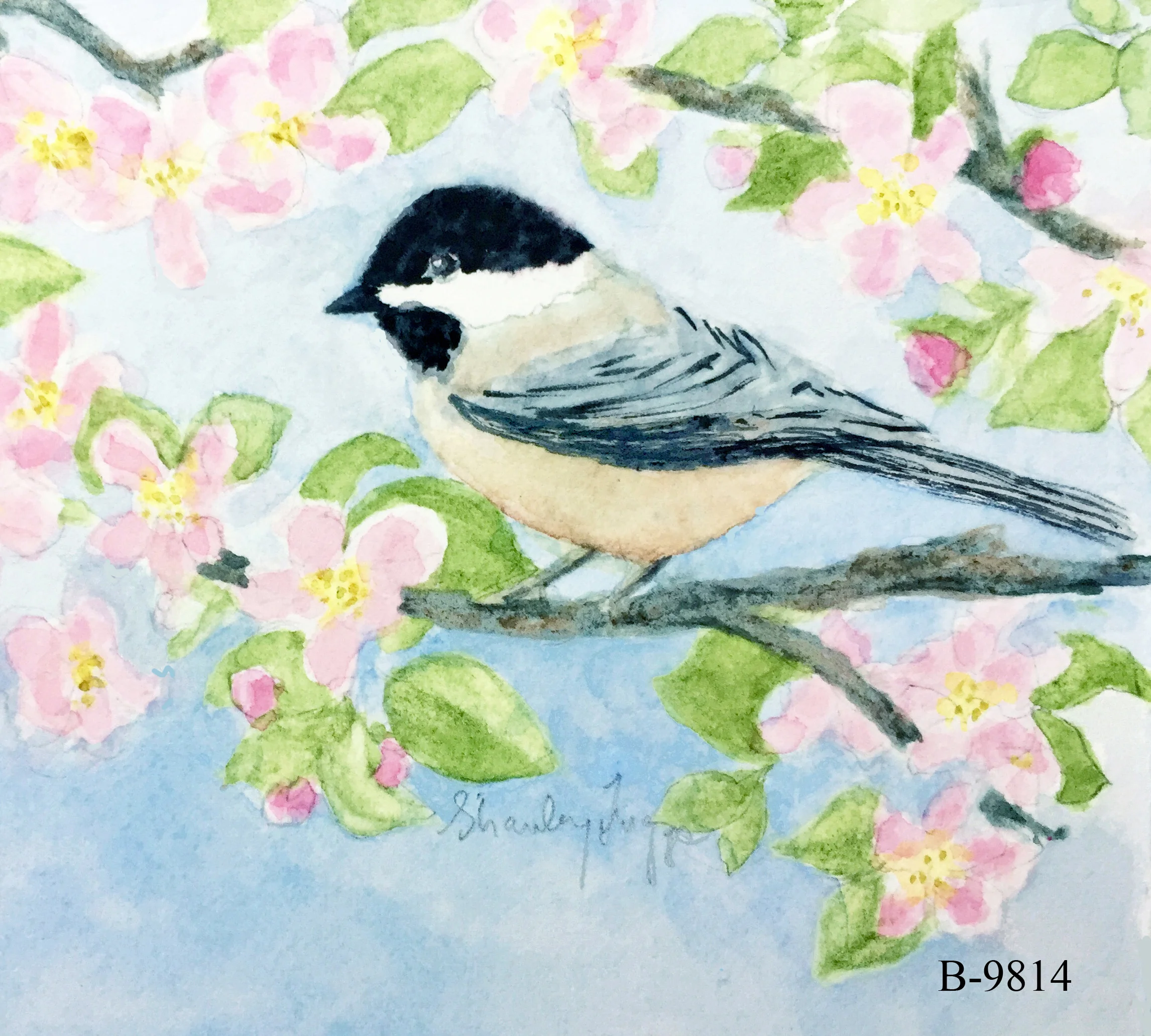 B-9814 Chickadee no.jpg