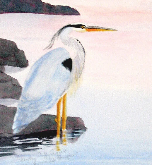 B-9568 Blue Heron _edited-1.jpg