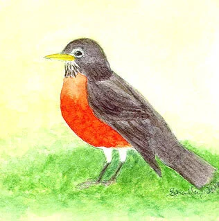 B-9547 Robin.jpg