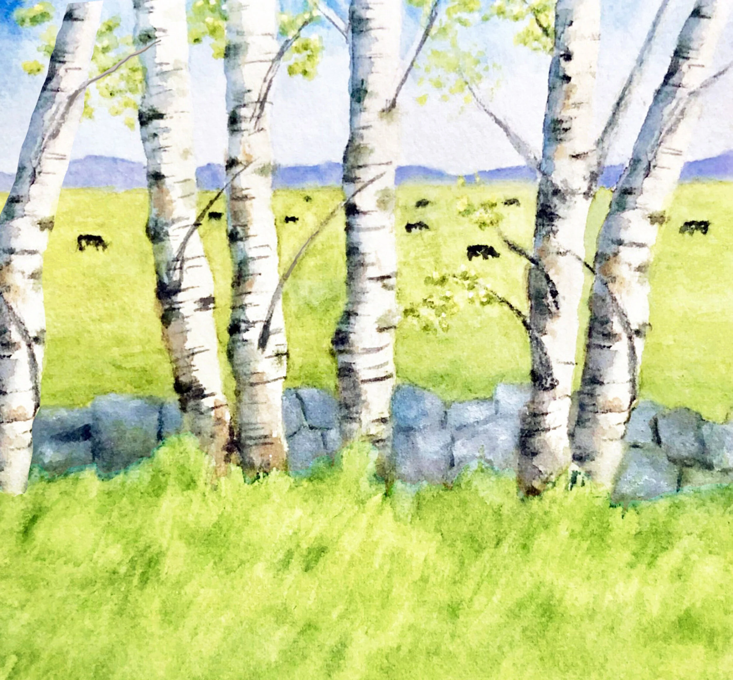 Birches in Spring 1jpg.jpg