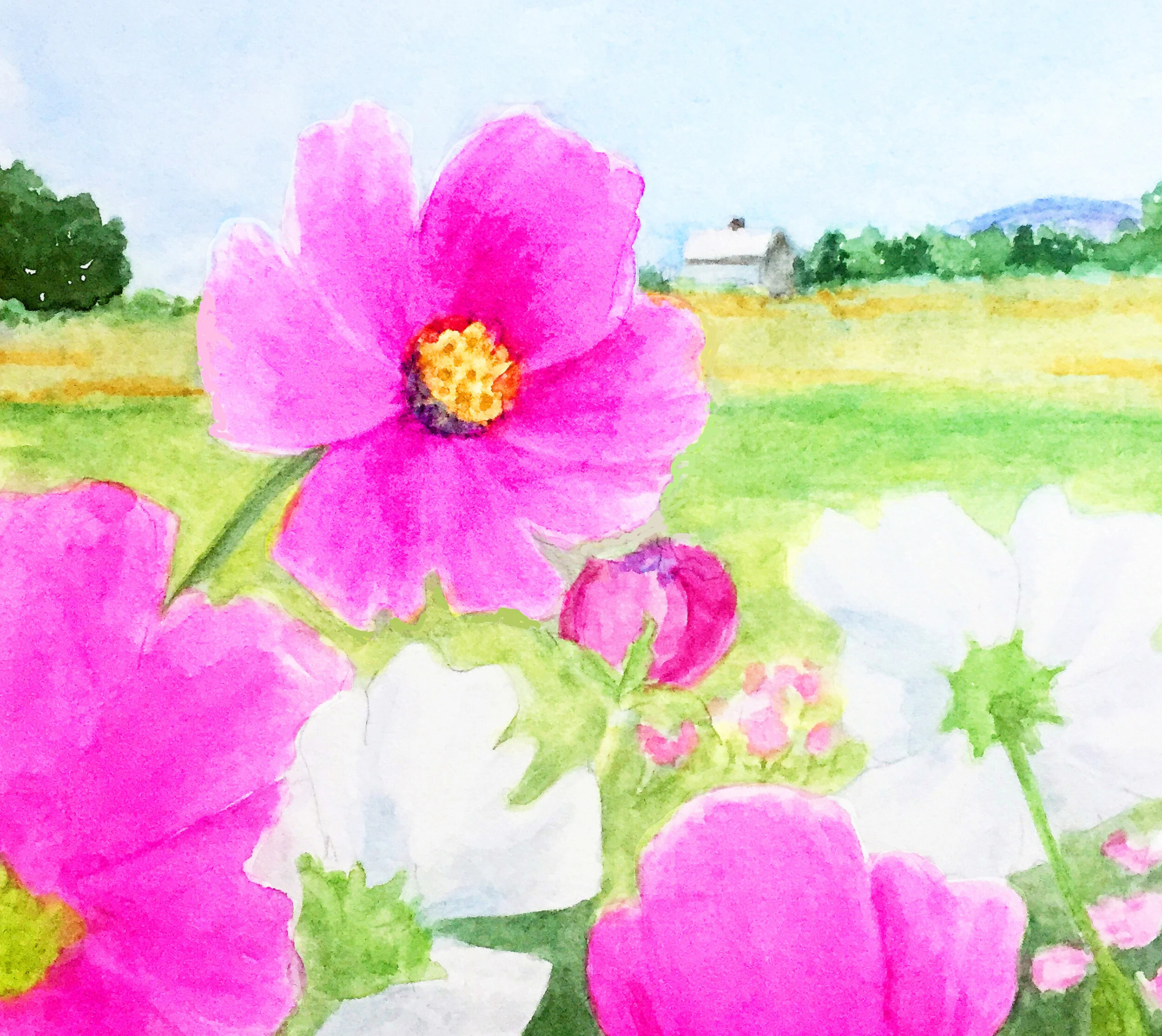 COSMOS 1 4 x 4_edited-1.jpg