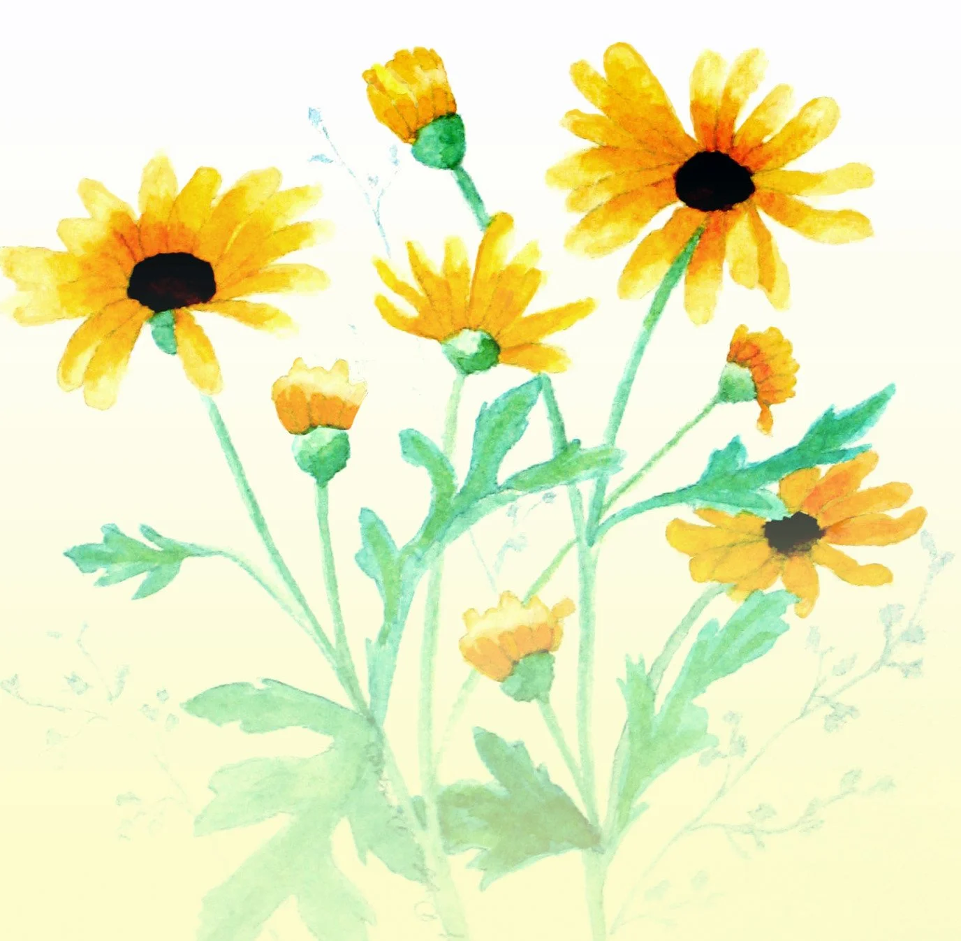 Black Eyed Susan in Field of Gold