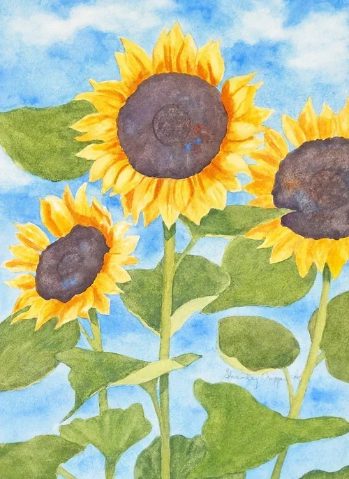Sunflower%2BAgainst%2BSky_edited-1.jpg.png