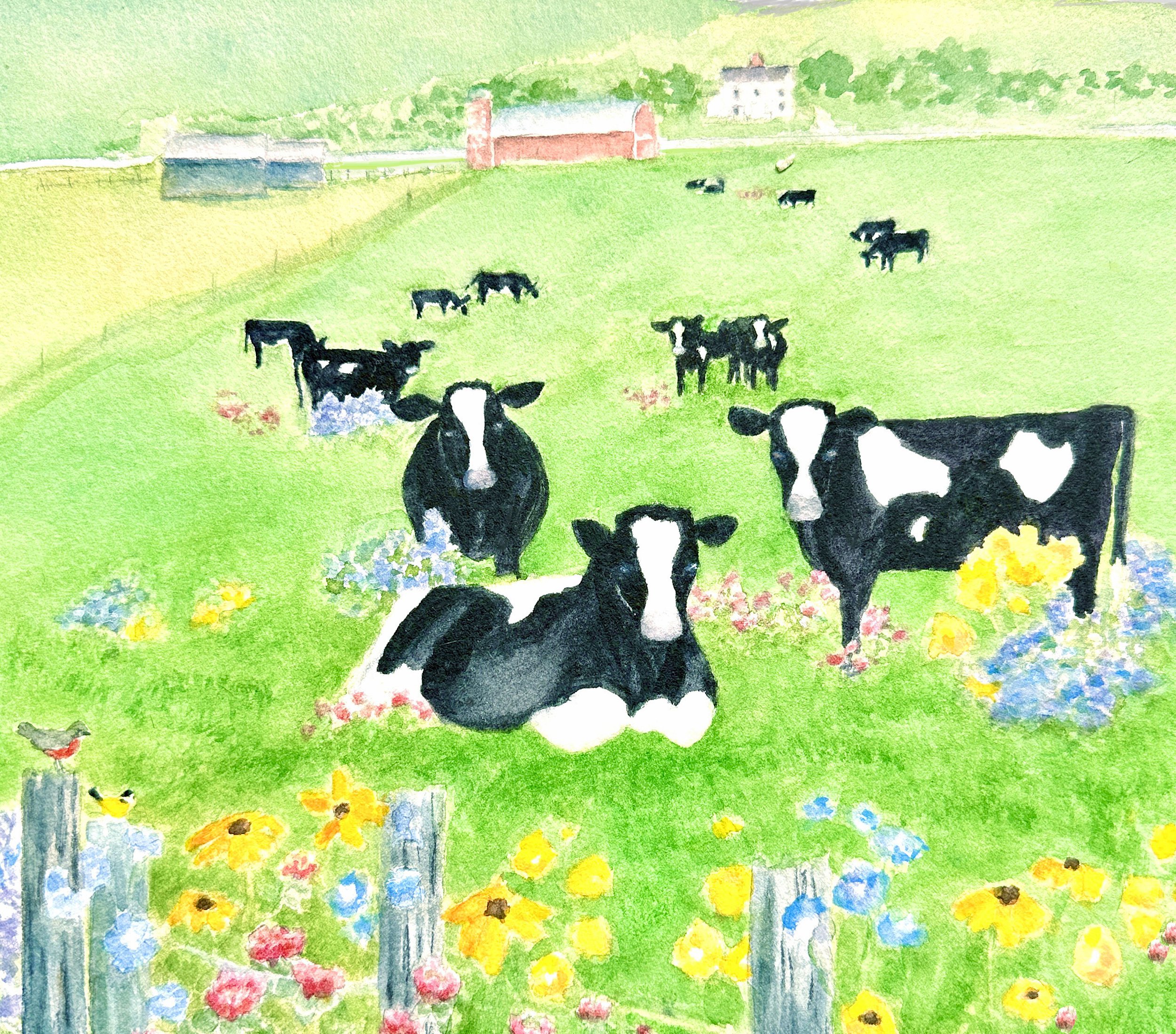 Cows in Meadow- Vermont Summer