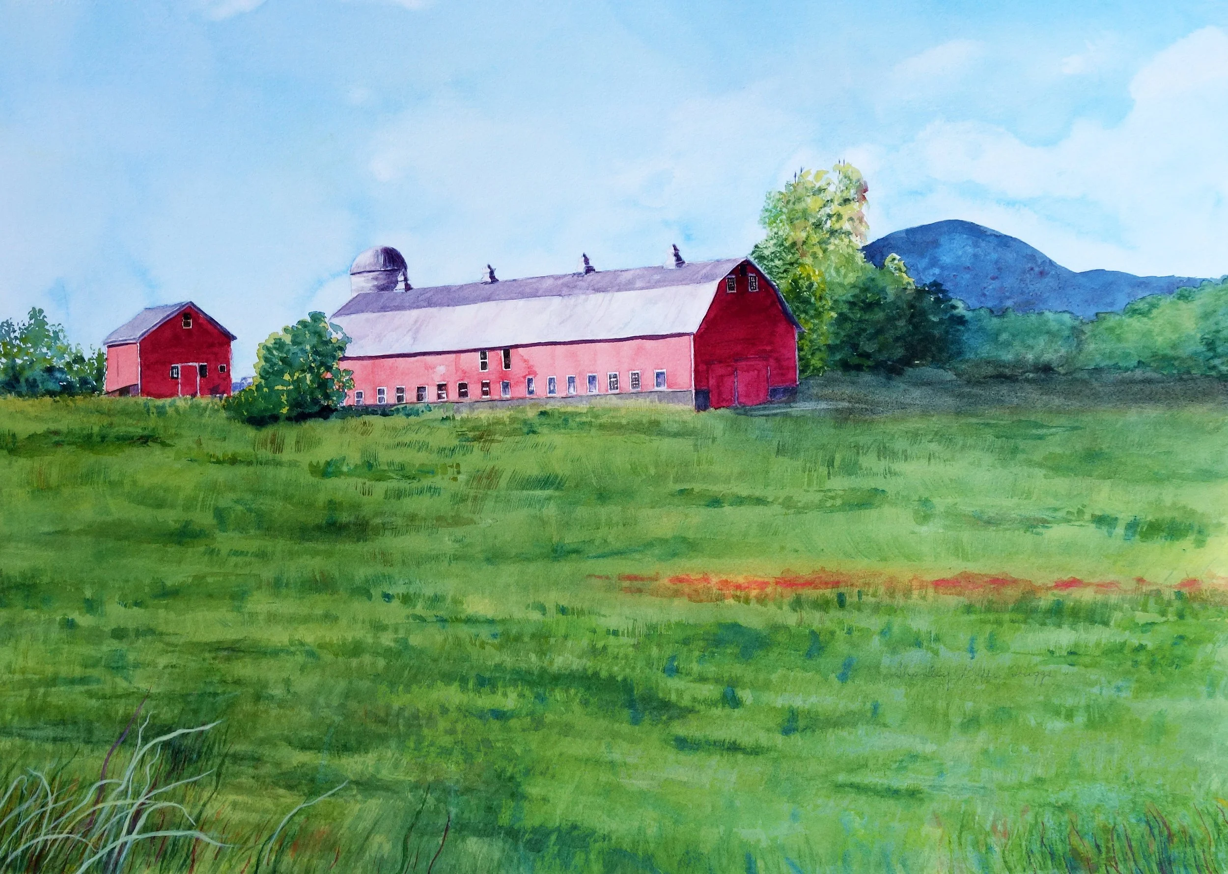 Devino Farm, Milton.jpg