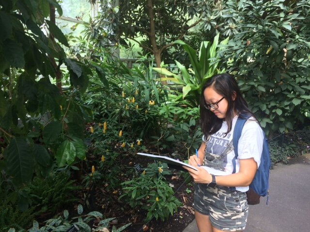 Katherine Hui drawing in garden.JPG