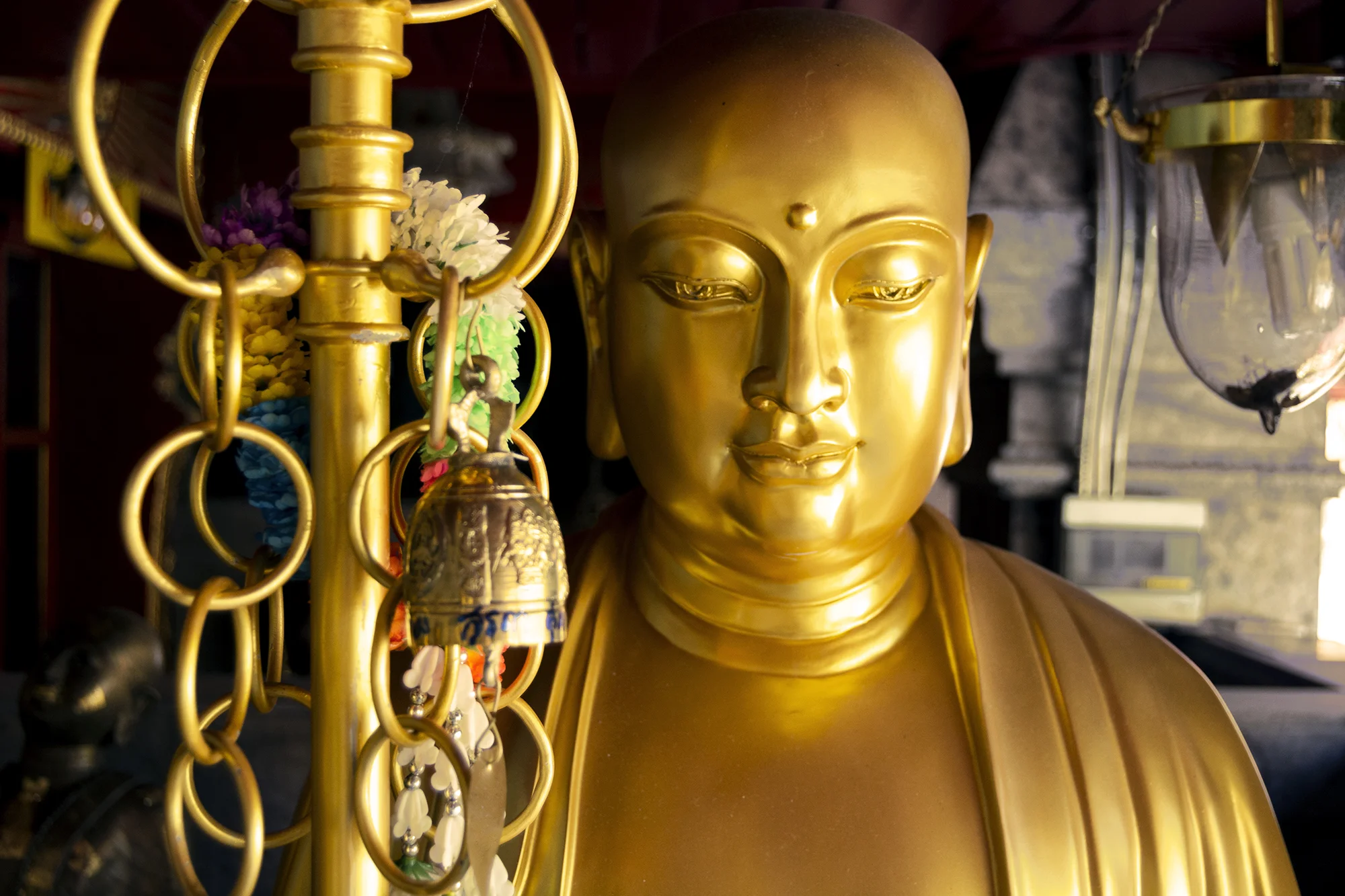 Buddha rings.jpg