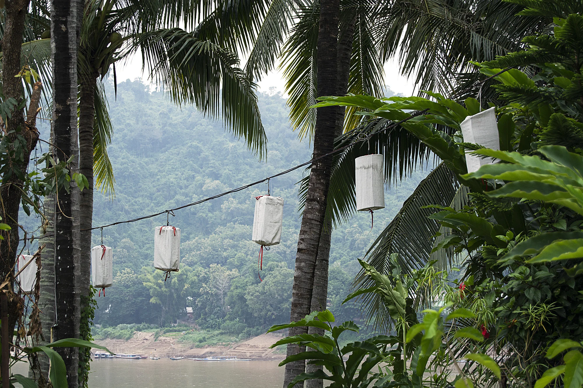 lanterns.jpg