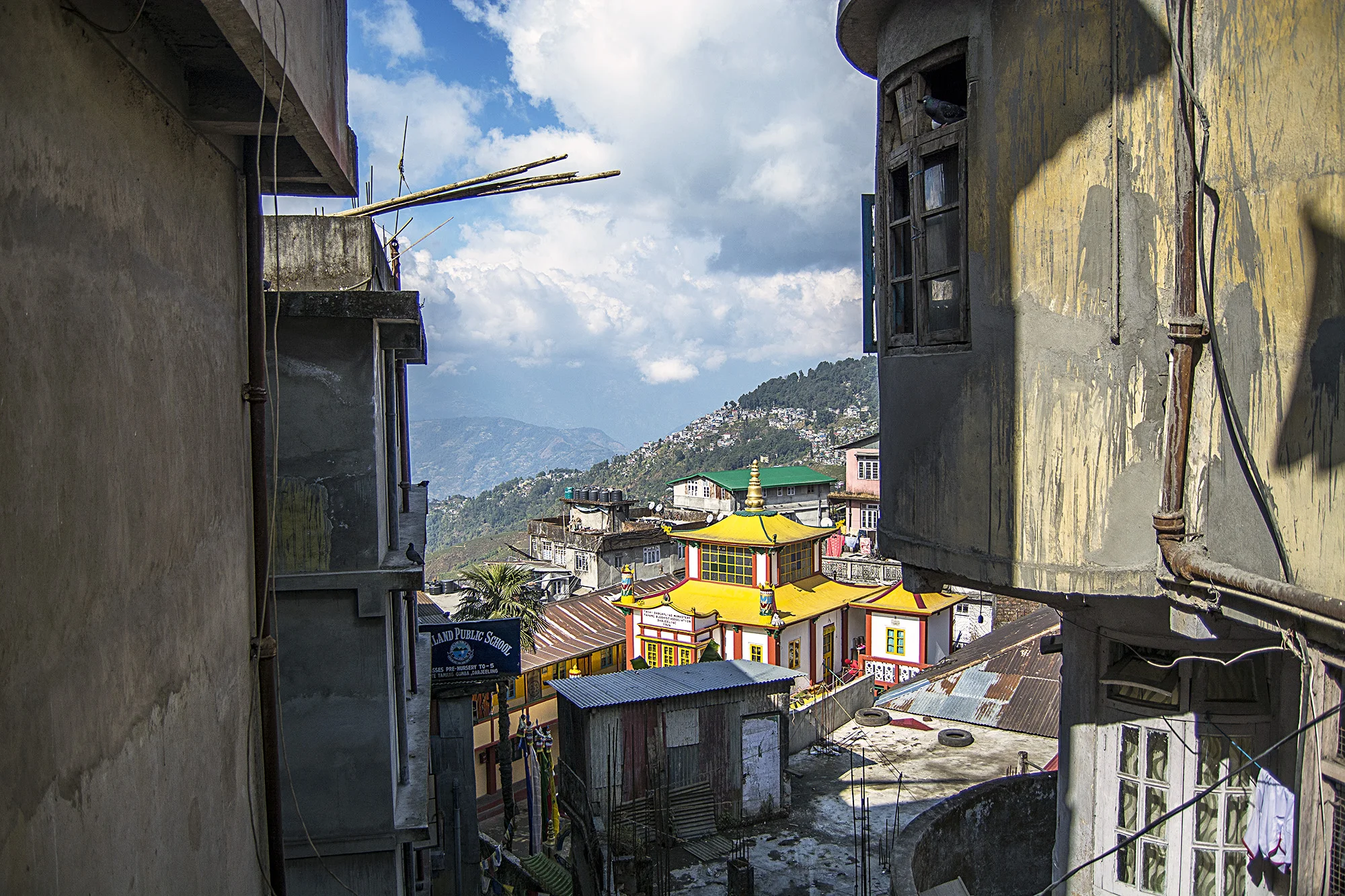 DSC_0094.jpg