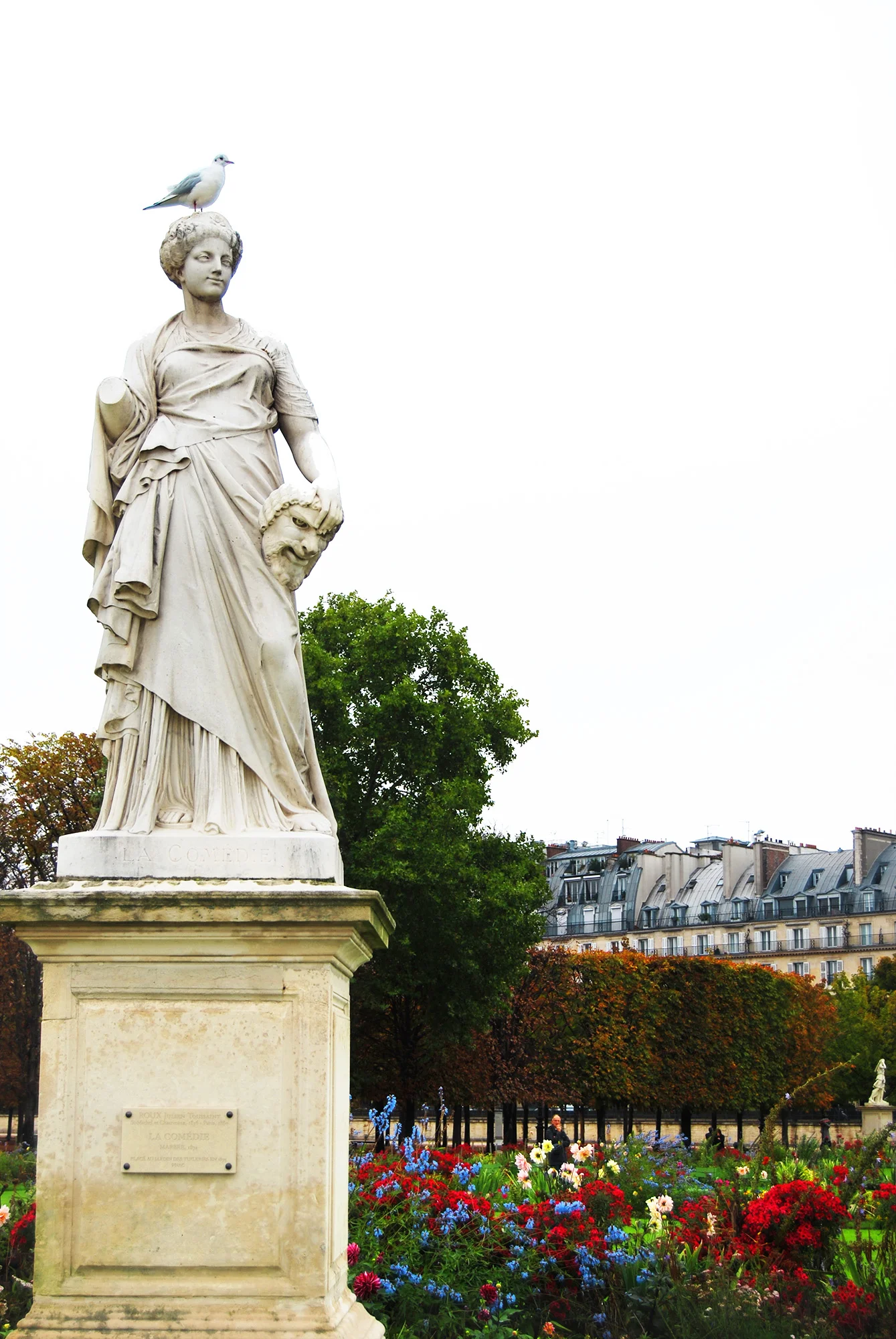 DSC_0136a.jpg