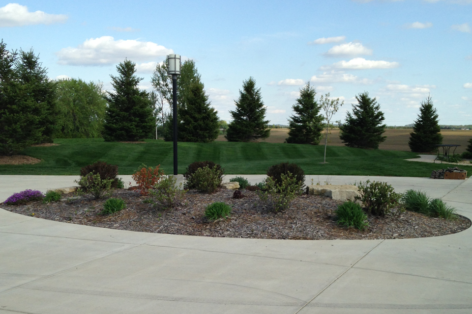 Mounded mulch and shrub garden