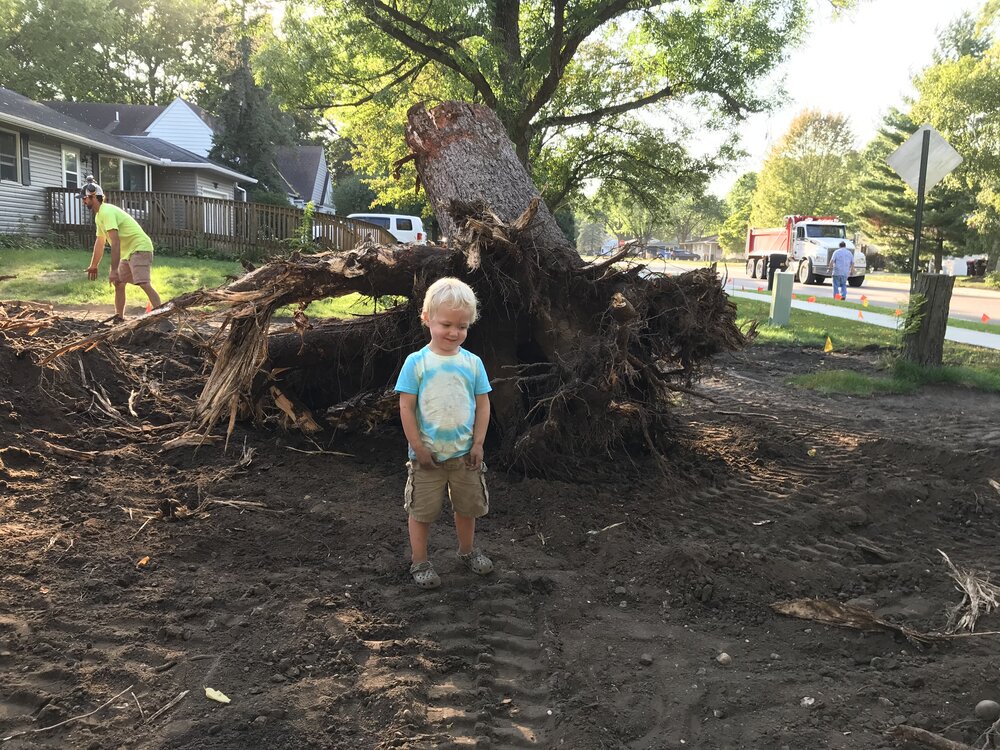 Our 2-year-old son next to a 60-year-old stump