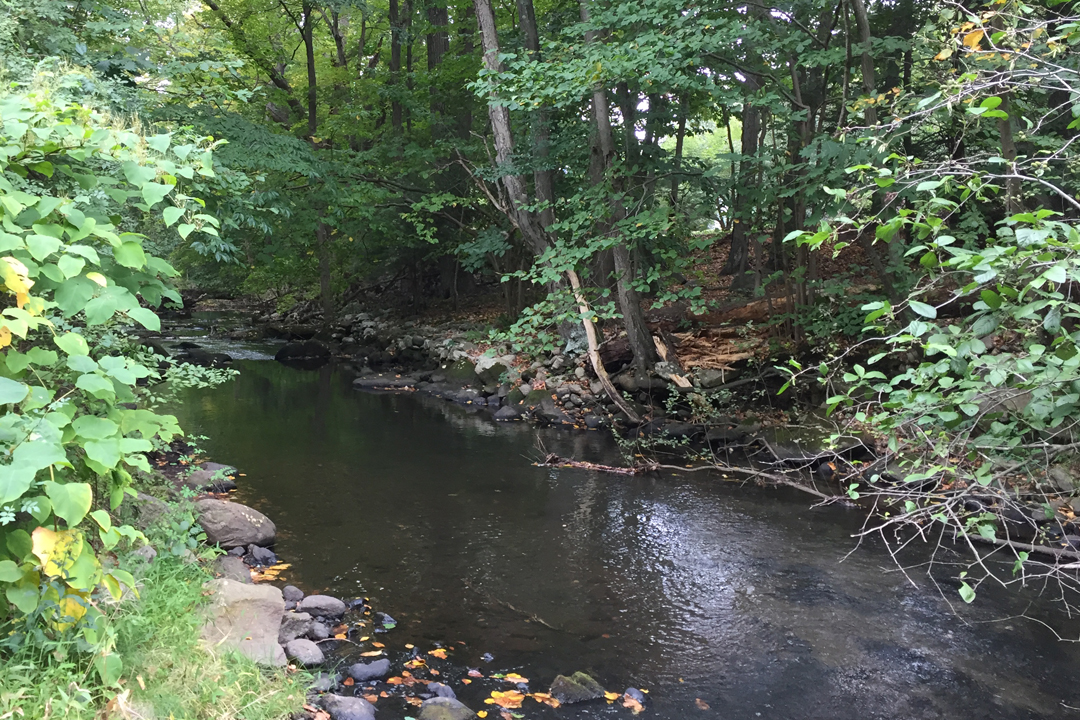 Bridges over Mill River, Easton, Conn.