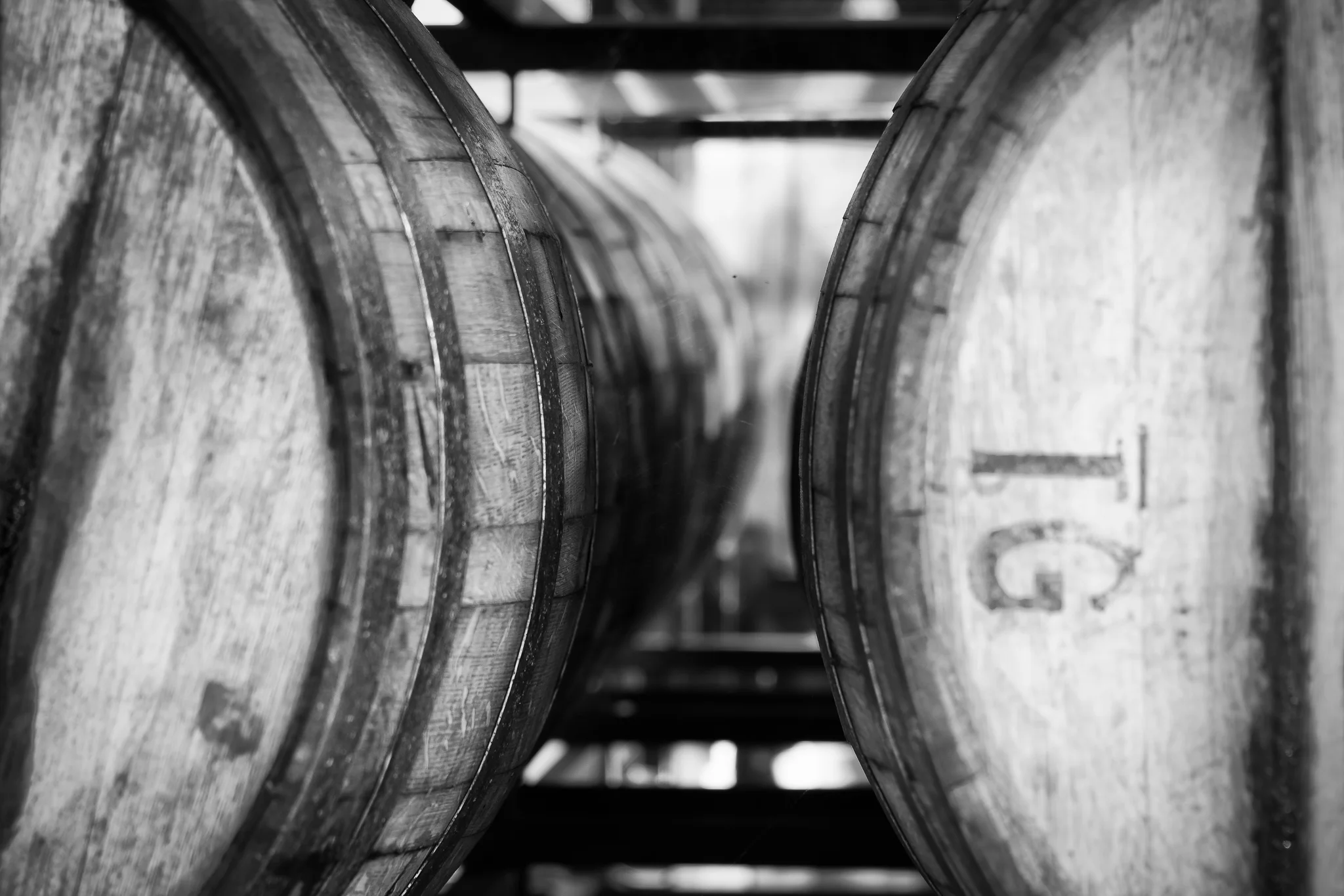 Paradise Springs Winery, VA