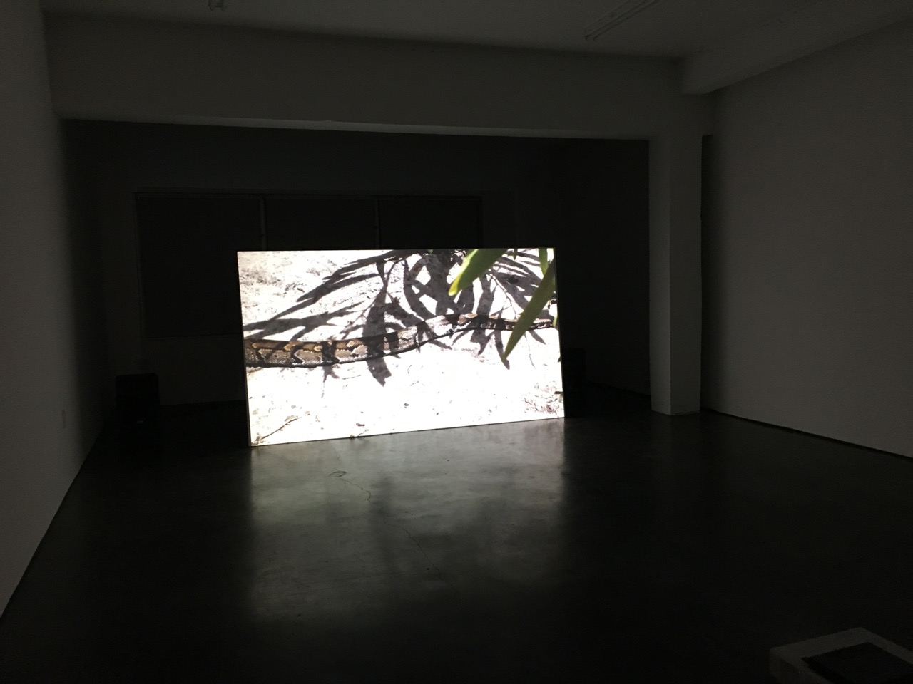 INSTALATION VIEW CANNONBALL MIAMI - DECEMBER 2015 Photo by CPR