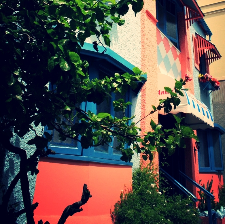 Annie' Shandon Inn - in beautiful period colours