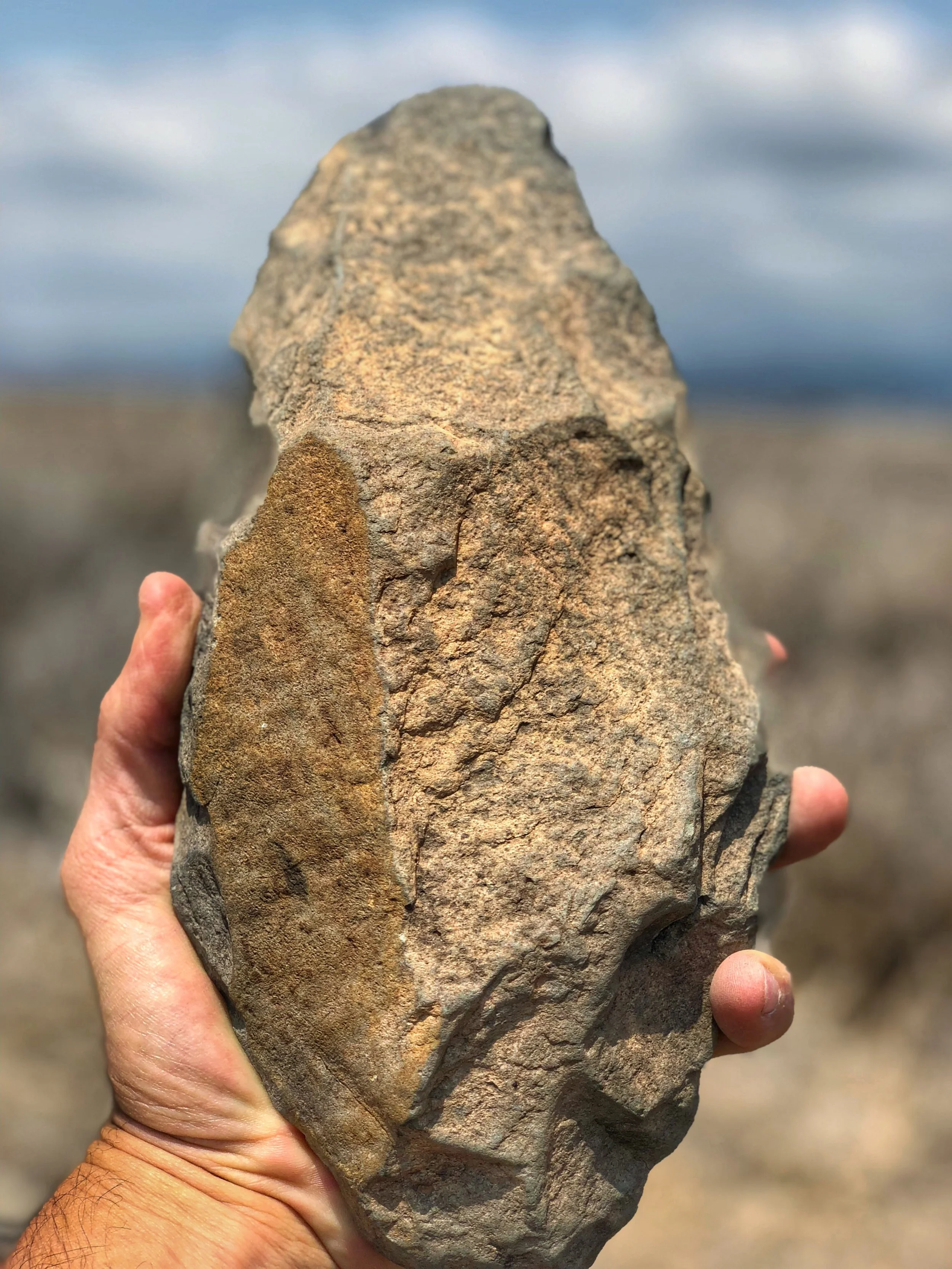 Hand ax found at Lewa in Kenya