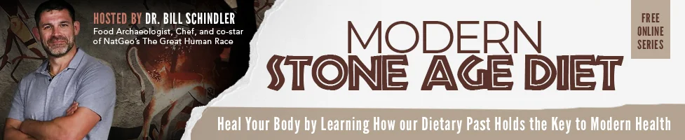 Modern Stone Age Diet Banner.jpg