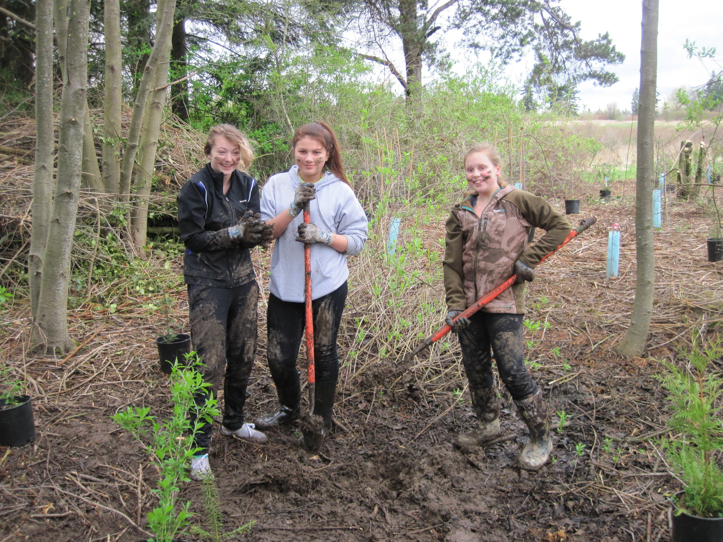 Blaine Middle School-Terrell Creek.JPG