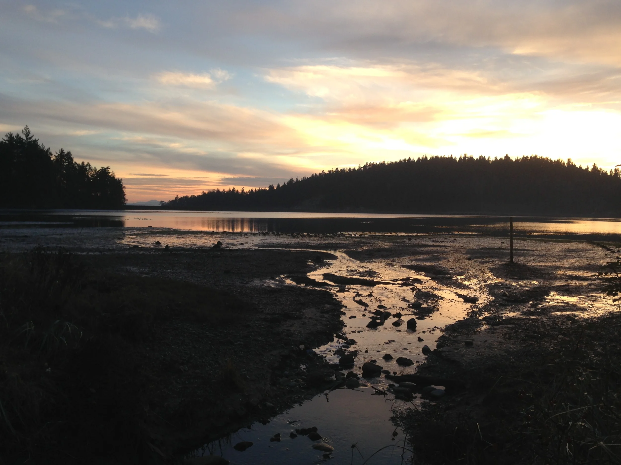 MudBay Sunset.JPG