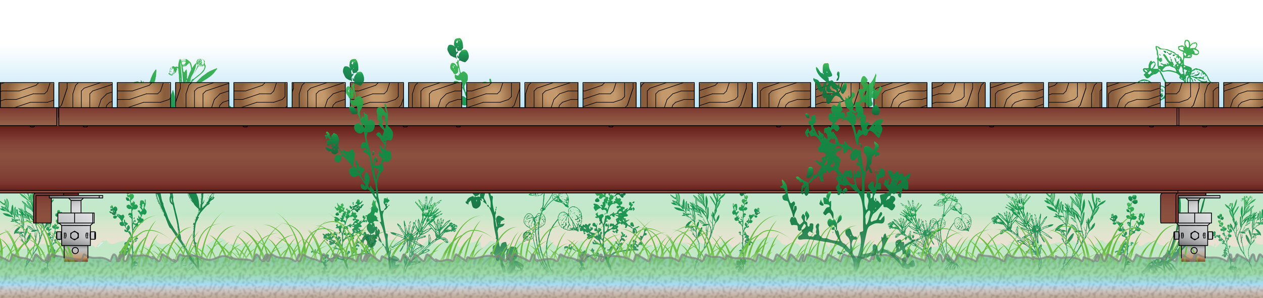 PathwaytoPreservation_v3-BridgeSideView.jpg