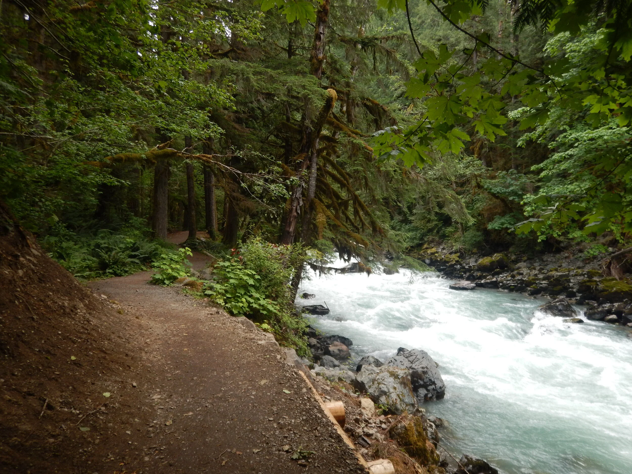 NSEA_RiverStewards_HorseshoeBend_RiverWalk_7.14.19  (3).JPG