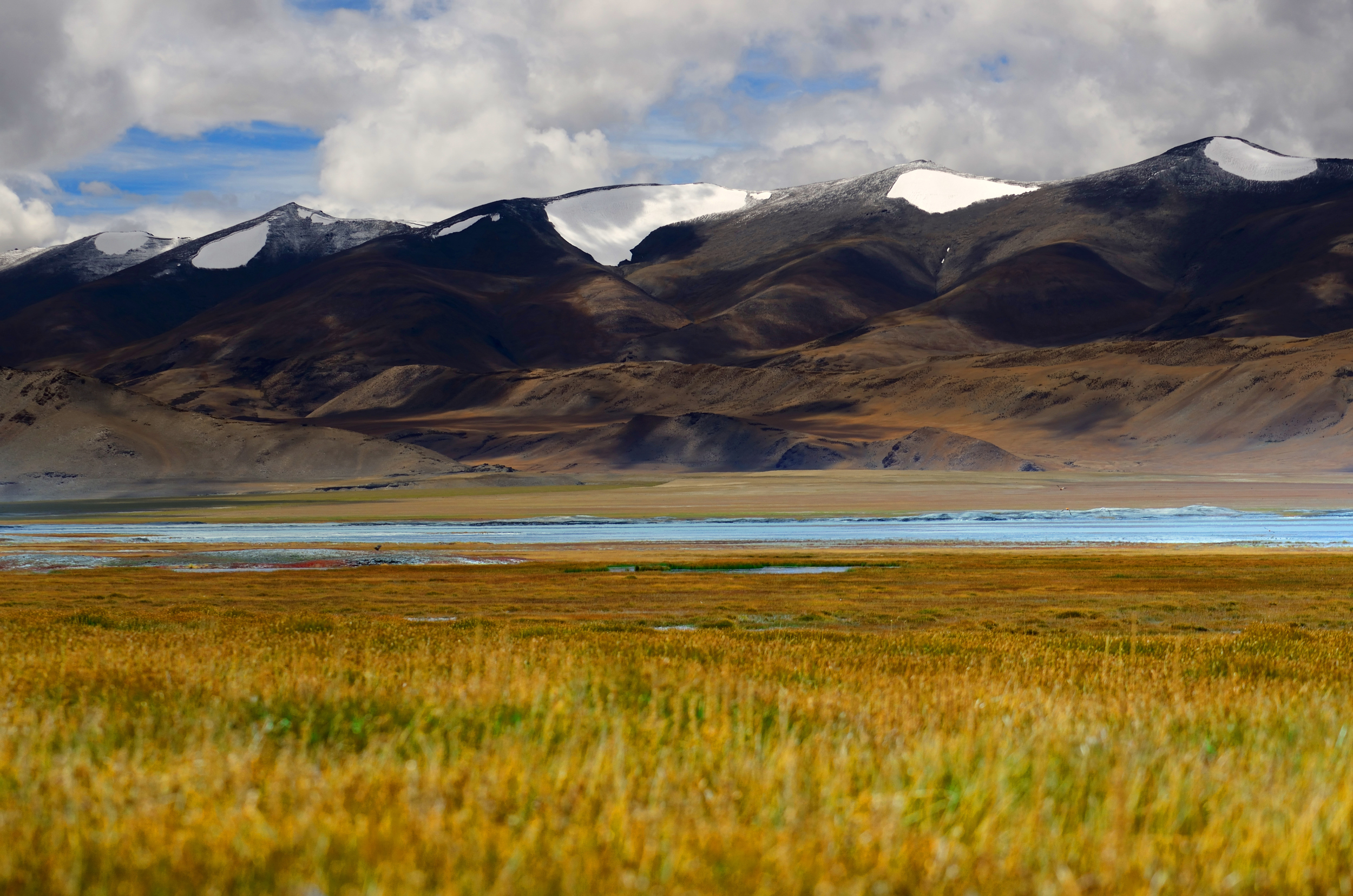 Canada Joint Environmental Fund · India