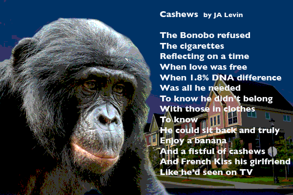 A Poem about evolution from the other side.