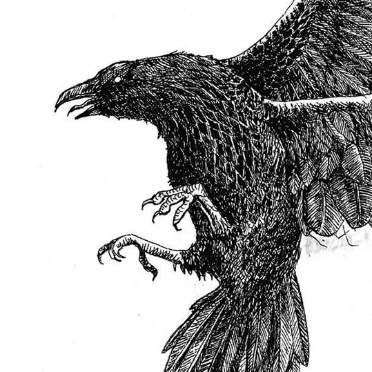 Sketchbook update : Inktober 2016