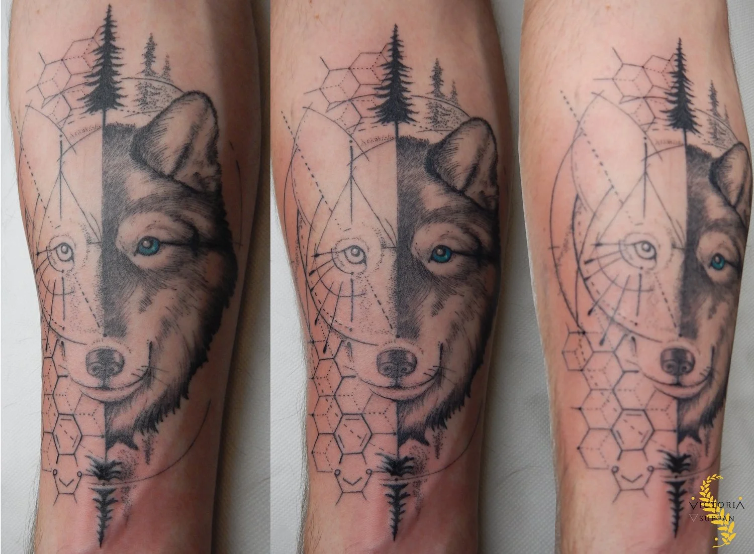 SUPPAN-geometric-wolf.jpg