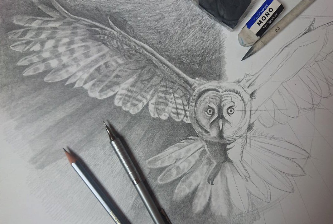 BASES DU DESSIN / cours avec l'Association DP'art / Valangin (NE)