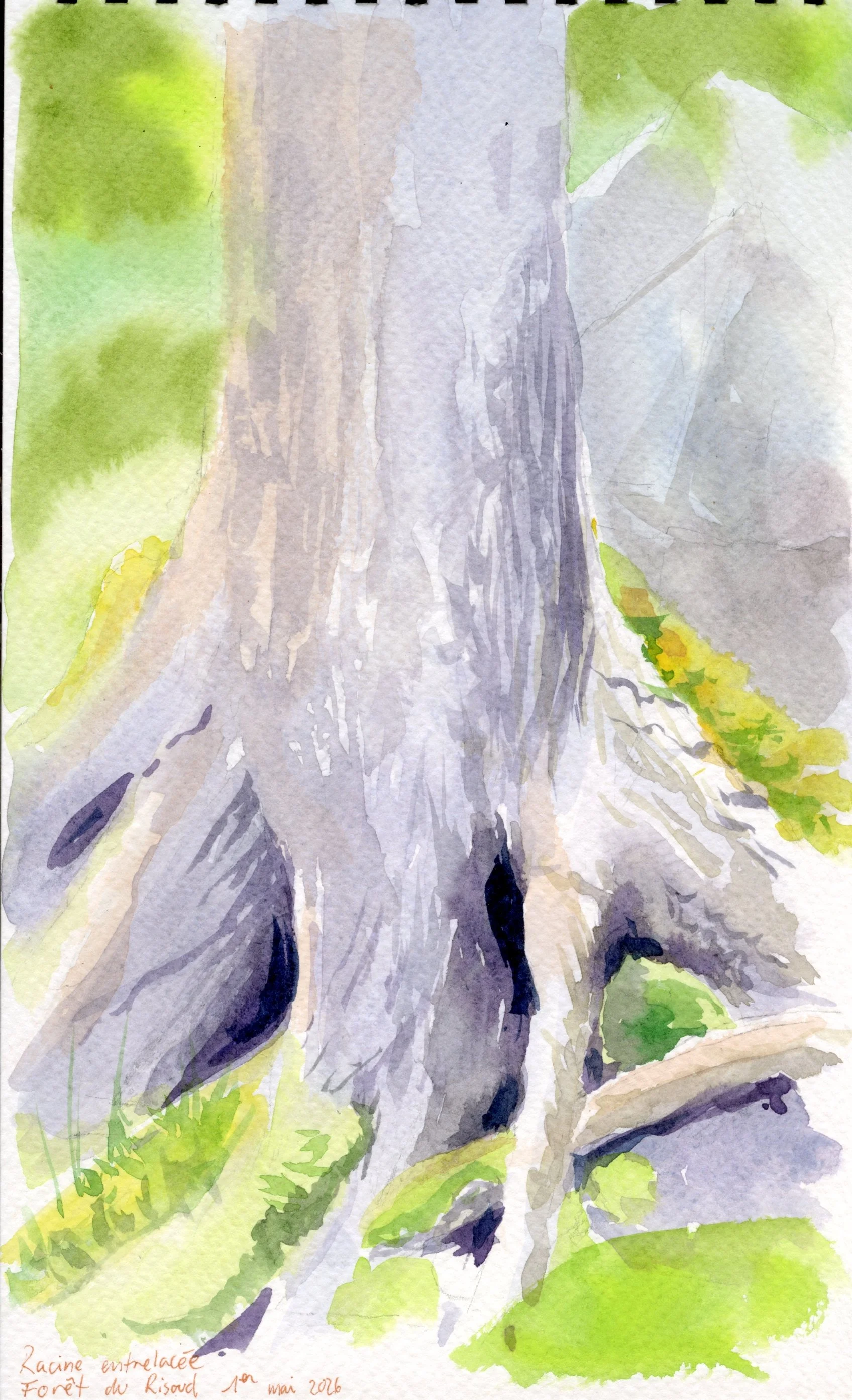 carnet 2025076.jpg