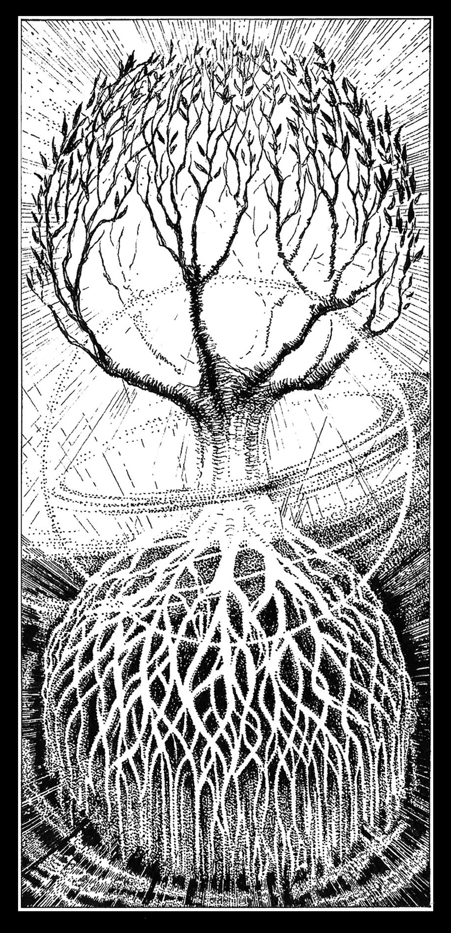 Tree of Life - Tree of Light