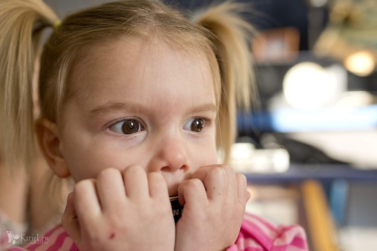 KatieLew Photography "Bullfrogs and Butterflys" Northern Oklahoma