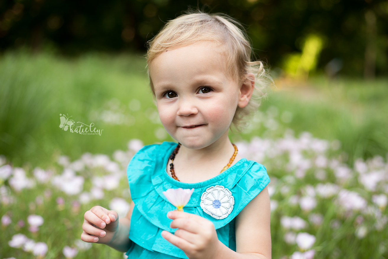 Oklahoma wildflowers 2 year photo session