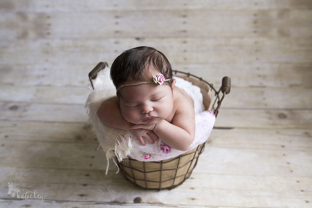 baby in a basket newborn photographer