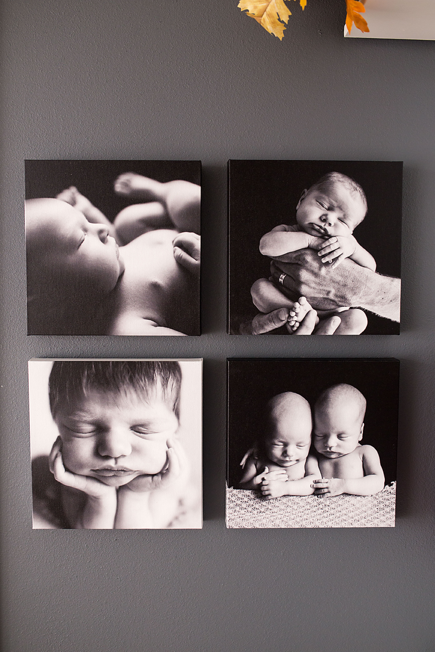 Black and white canvases displaying beautiful newborns