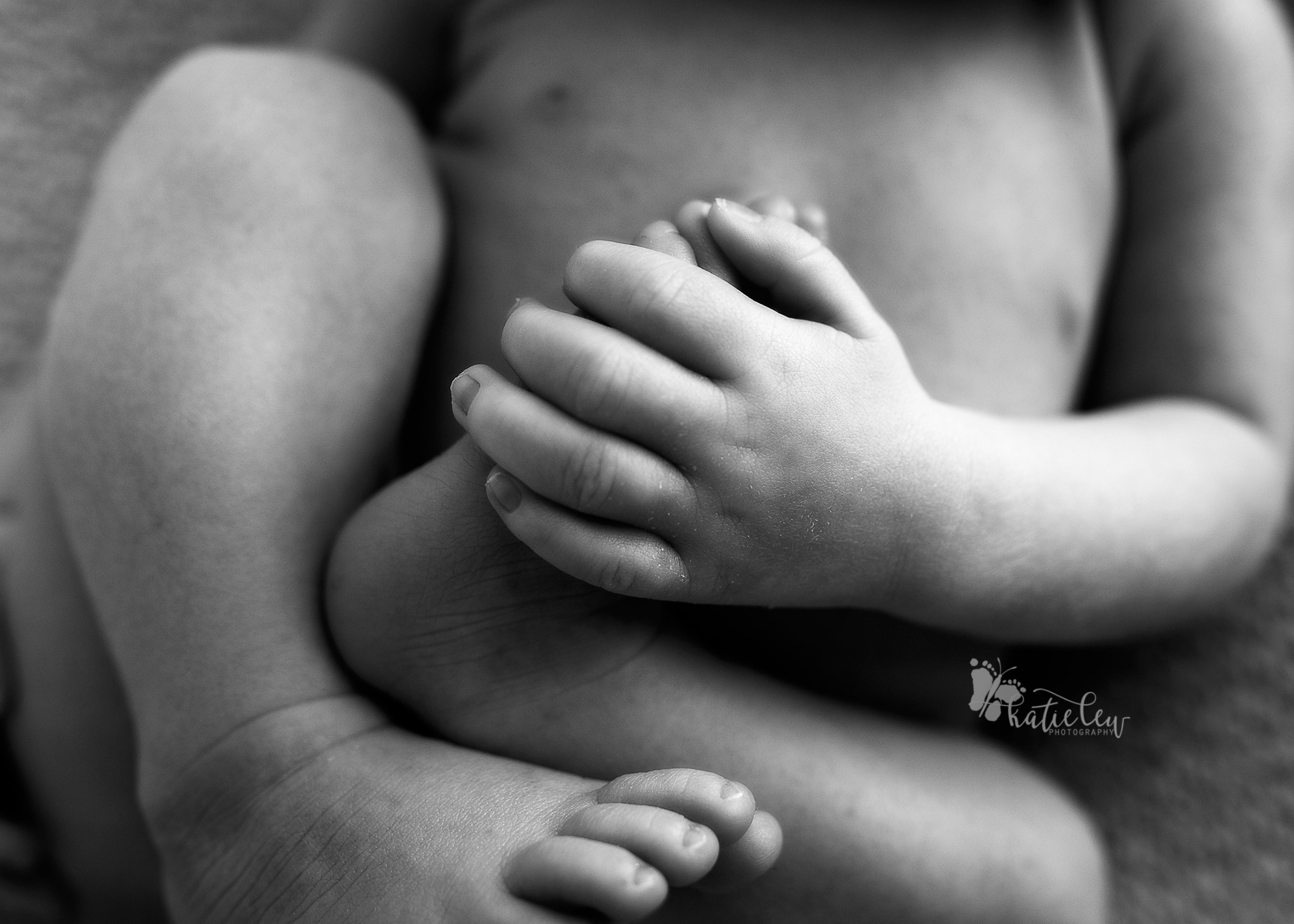 up close image of newborn hands and feet.