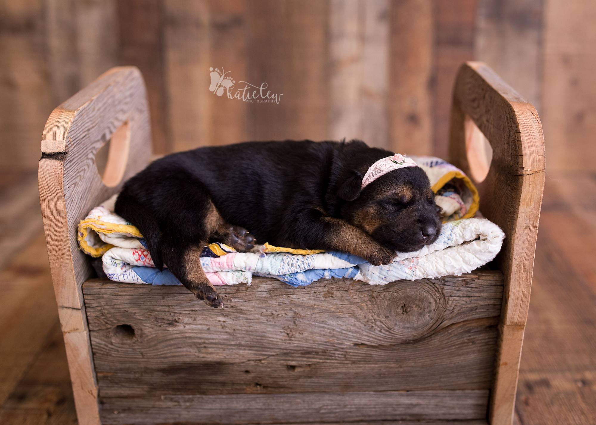 german shepherd puppy laying in a bed on quilts