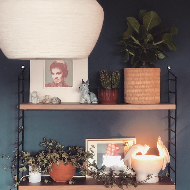 Friends with plants in their String Pockets👌...though one of them has seen better days☺️
&bull;&bull;&bull;
#plantgang#stringshelfie#houseplantclub#sundayshelfie#shelflife#shelfielicious#shelfies#60saesthetic#plantsplantsplants#pocketofmyhome#stylei