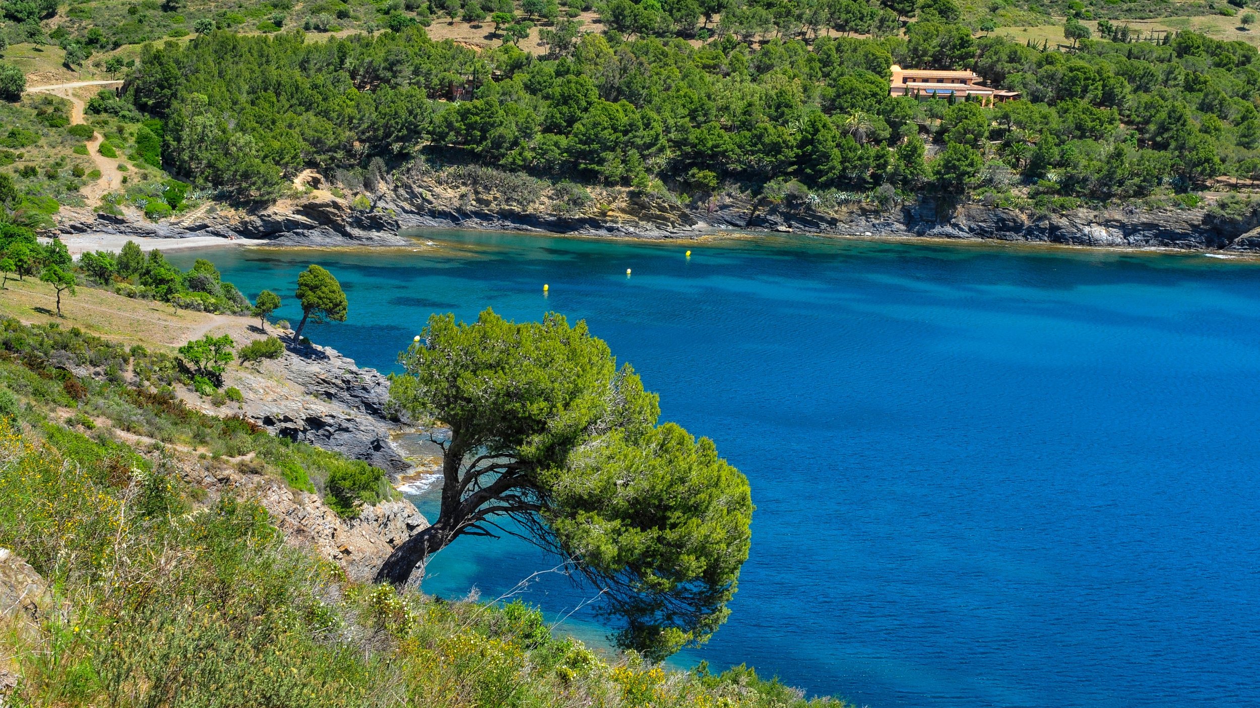 Mise en place travel2.jpg