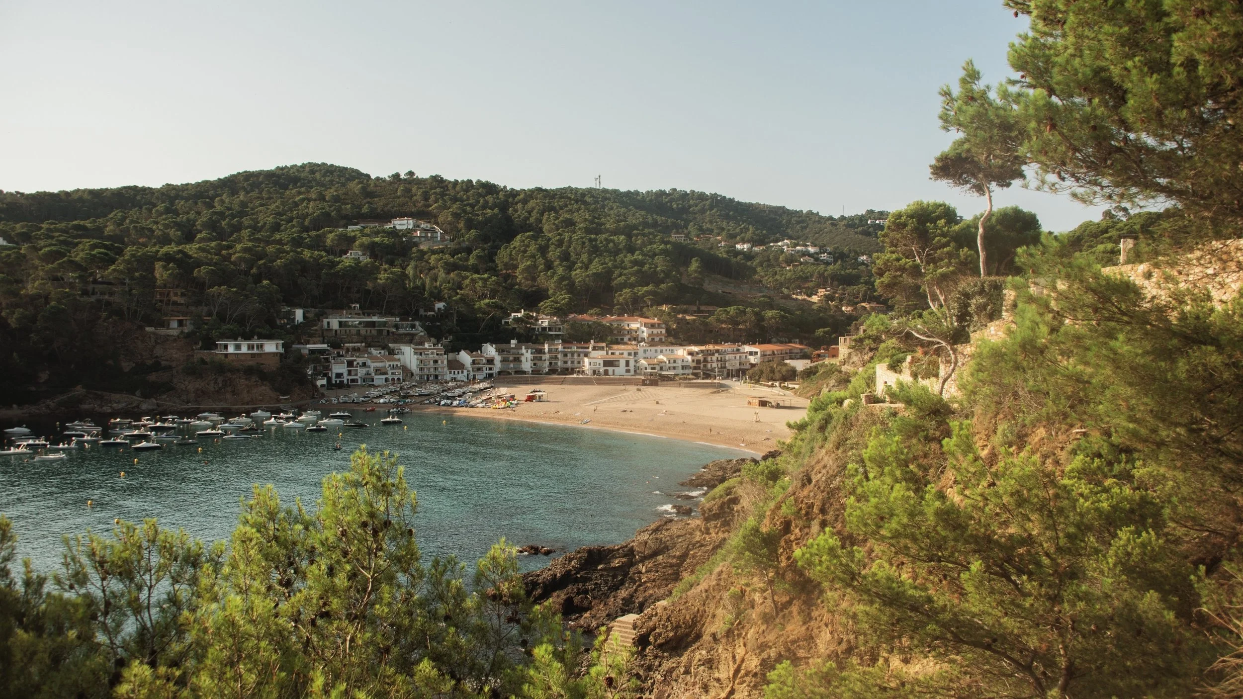 Mise en place travel4.jpg