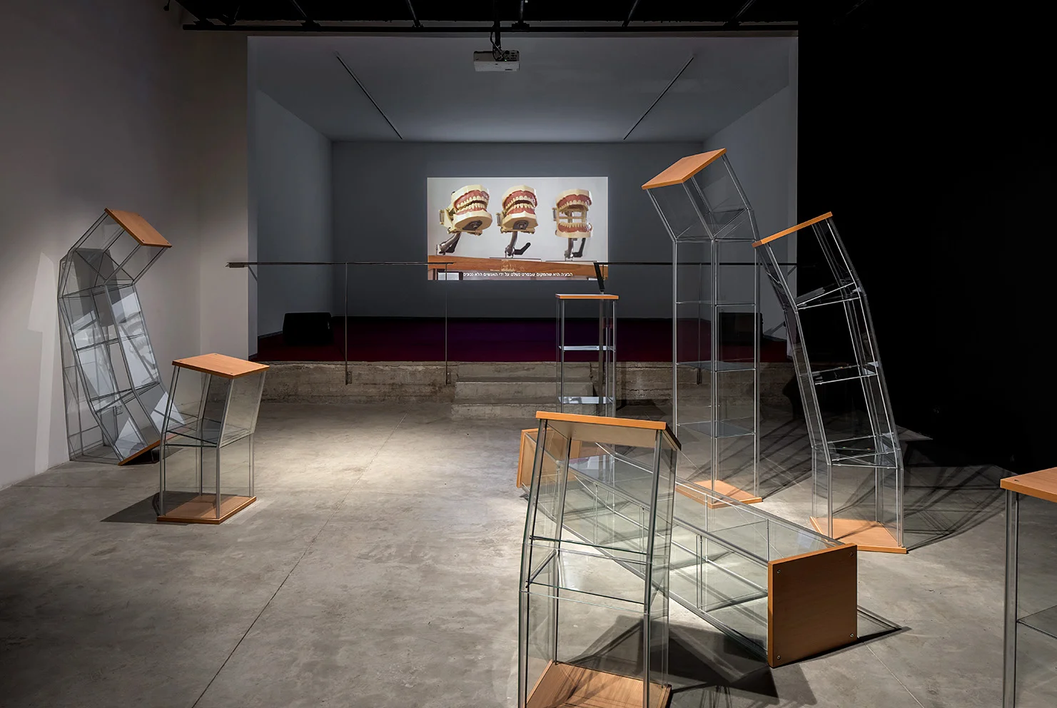 Yael Frank_A Problem_Installation View_2018_2.jpg