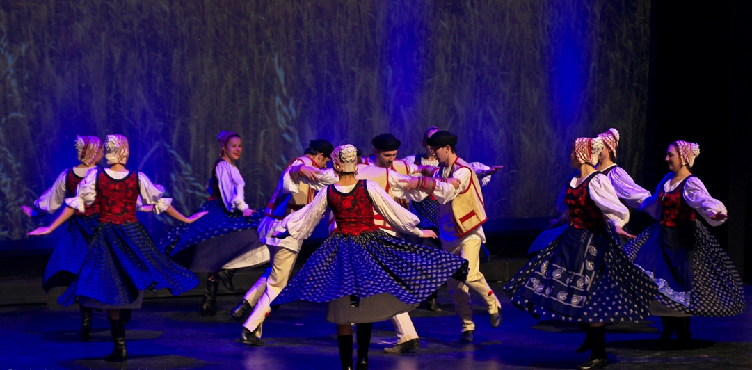 MPP Dipika Damerla’s Annual Community BBQ