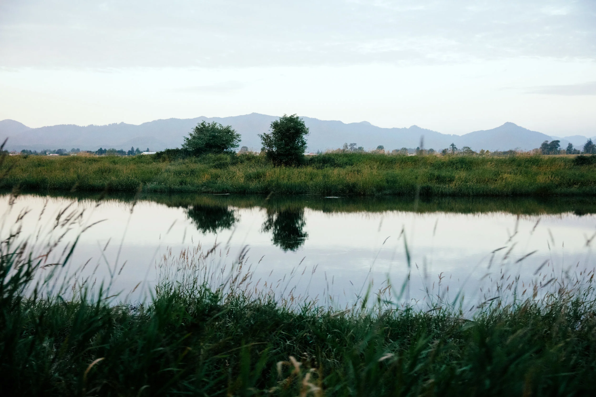 SINGLE-WaterLandscape-small.jpg