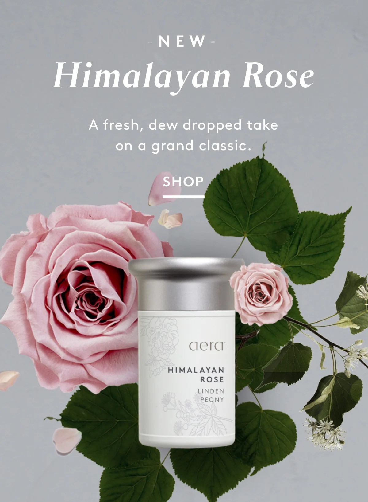 Hero_mobile_fragrance_Rose_1200.jpg